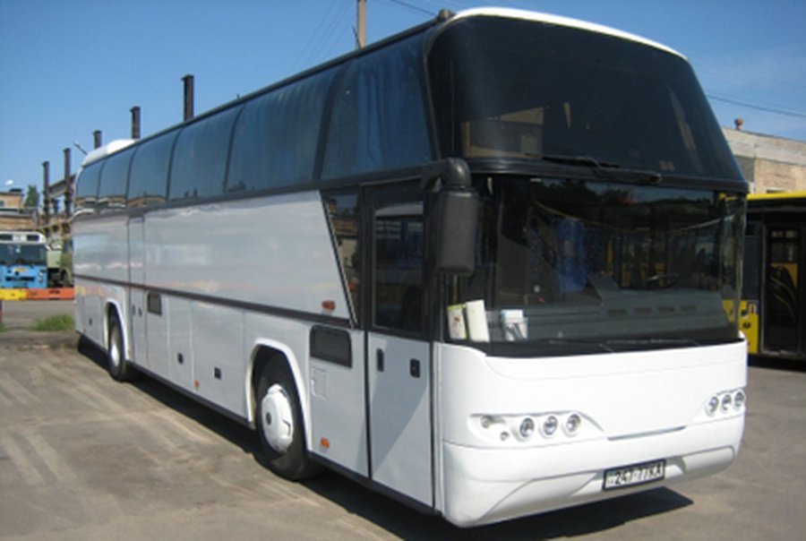 В выходные водители международный рейсов раздадут пассажирам тысячи светоотражателей  - Литва и страны Балтии