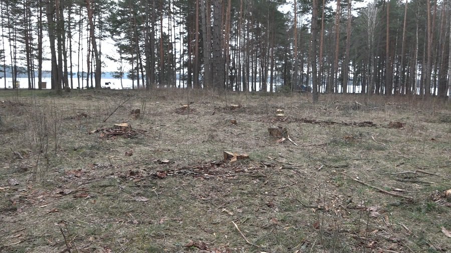 Висагинас - город-парк? (видео) - В Висагинасе