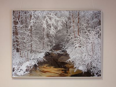 Фотографы Латвии приглашают на выставку (фотогалерея) - В Висагинасе