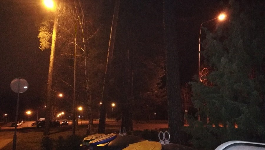 Человека, выбросившего строительный мусор, зафиксировала камера видеонаблюдения - В Висагинасе