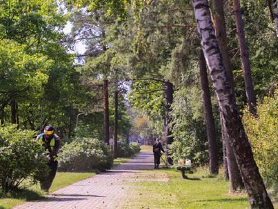 Предварительный график кошения травы с 3 по 7 июня - В Висагинасе