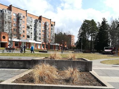 В Висагинасе появится бронзовая скульптура собаки - В Висагинасе