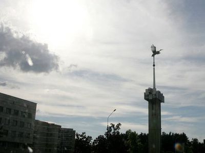 О выборах в Совет Висагинского самоуправления                                                                                                          - В Висагинасе