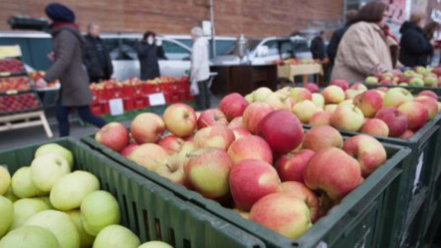 Из-за ошибок власти Литва вернет Брюсселю 15 млн. литов помощи на сельское хозяйство - Литва и страны Балтии