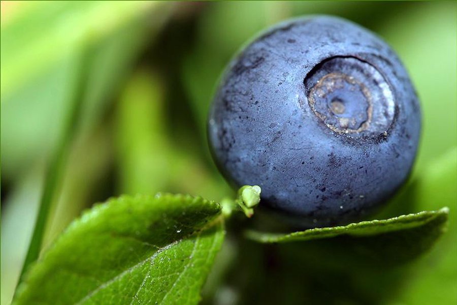 Можно ли поправить себе зрение без лекарств? - Наука и здоровье
