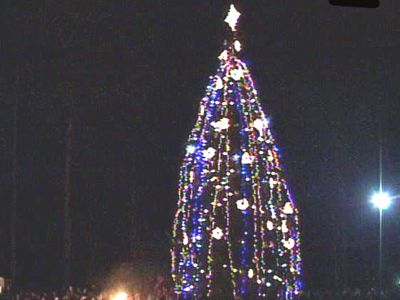 Засверкала огнями городская елка - В Висагинасе