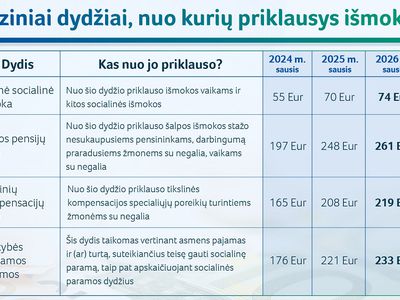 Vyriausybė patvirtino – kitais metais augs įvairios išmokos - Lietuva ir Baltijos šalys