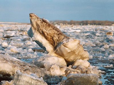 Литва будет просить калининградские службы помочь взорвать лед на водоемах - Литва и страны Балтии