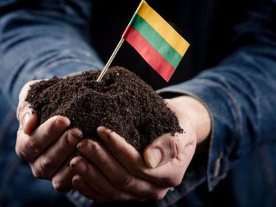 Горячая линия ТТС: «ЗА» что мы, собственно, голосуем? - В Висагинасе