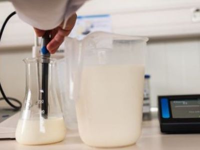 Литовские санитары: Молочные продукты в Россию пока еще по-прежнему экспортируются - Литва и страны Балтии