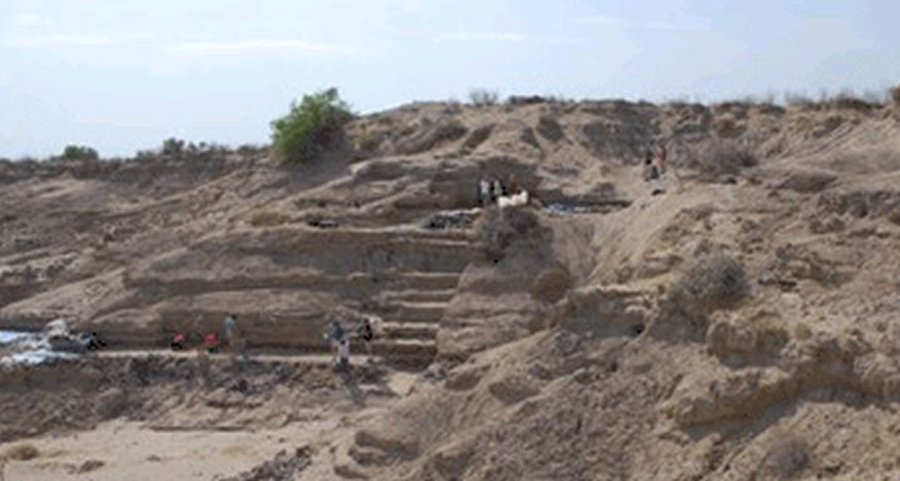 Найдены самые древние следы человека - Наука и здоровье