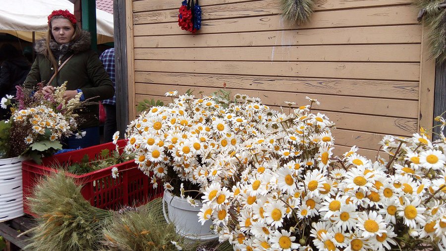 В Латвии готовятся к встрече Лиго (Фоторепортаж) - Литва и страны Балтии