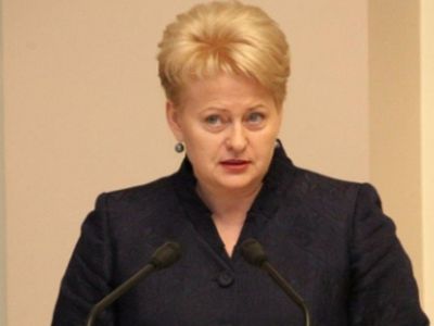 Президент Литвы: На нашу энергетику Россия всегда влияла - Энергетика
