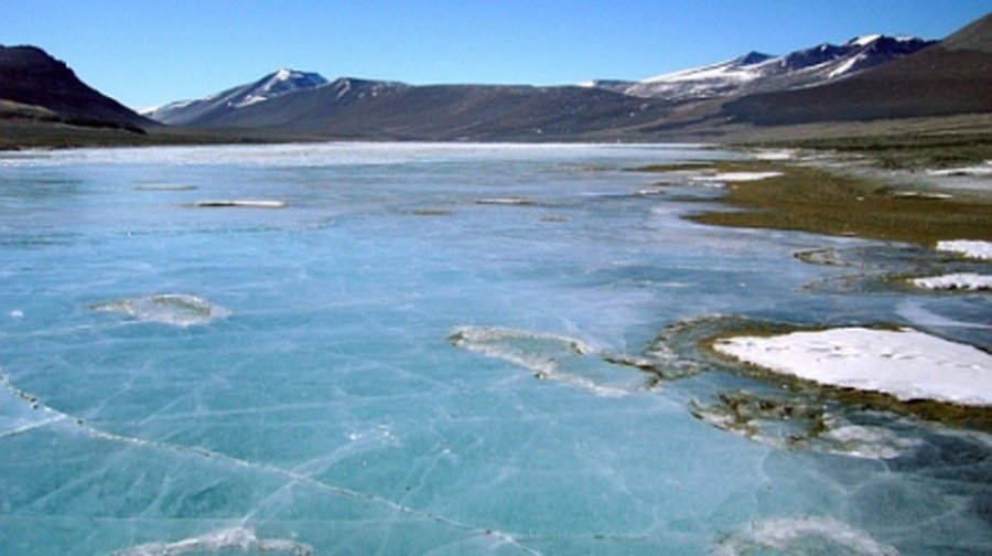 Подо льдом Антарктиды бушует жизнь - Наука и здоровье