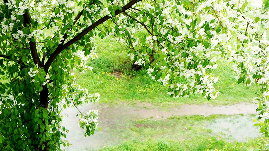 Прогноз: когда ждать тепла? - Литва и страны Балтии