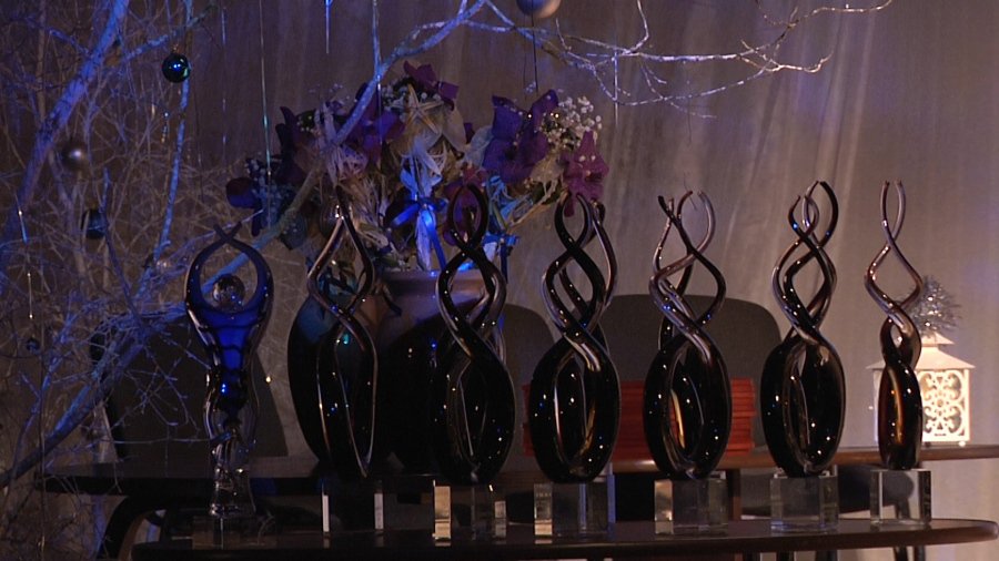 Объявлены победители в номинациях «За заслуги перед Висагинским самоуправлением» - В Висагинасе