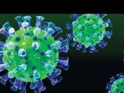 Ночью в Литве подтверждены еще два случая коронавируса - Литва и страны Балтии