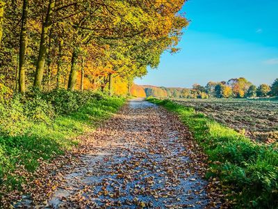 Засуха заканчивается: после солнечного понедельника наступят перемены - Литва и страны Балтии
