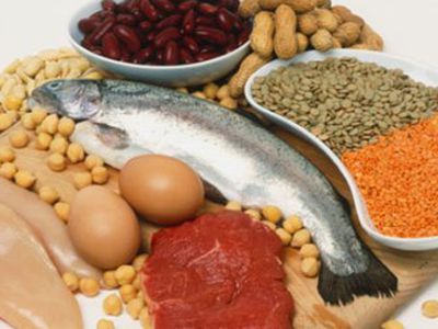 Ученые доказали, что протеиновые диеты небезопасны - Наука и здоровье