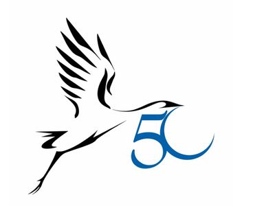 Как у Висагинаса появился юбилейный логотип - В Висагинасе