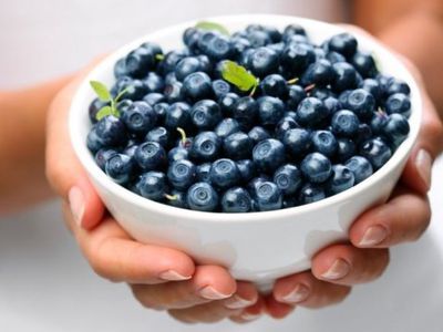 Черника: польза, вред и калорийность - Наука и здоровье