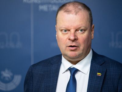 Оппозиция о заявлении Г. Ландсбергиса: это – публичный шантаж - Литва и страны Балтии