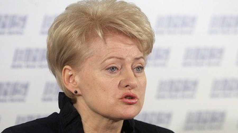 Президент Литвы о высылке главного редактора ИА REGNUM: Мы выполняем свои решения - Литва и страны Балтии