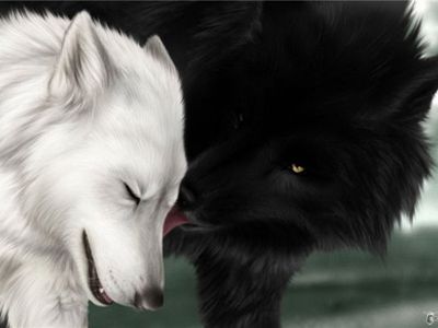 Зверская любовь: супружеская верность животных                                 - Хобби, отдых и развлечения