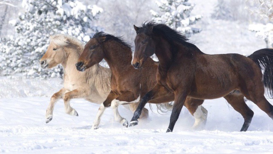 Вниманию зрителей телеканала ТТС! - Новости TTS