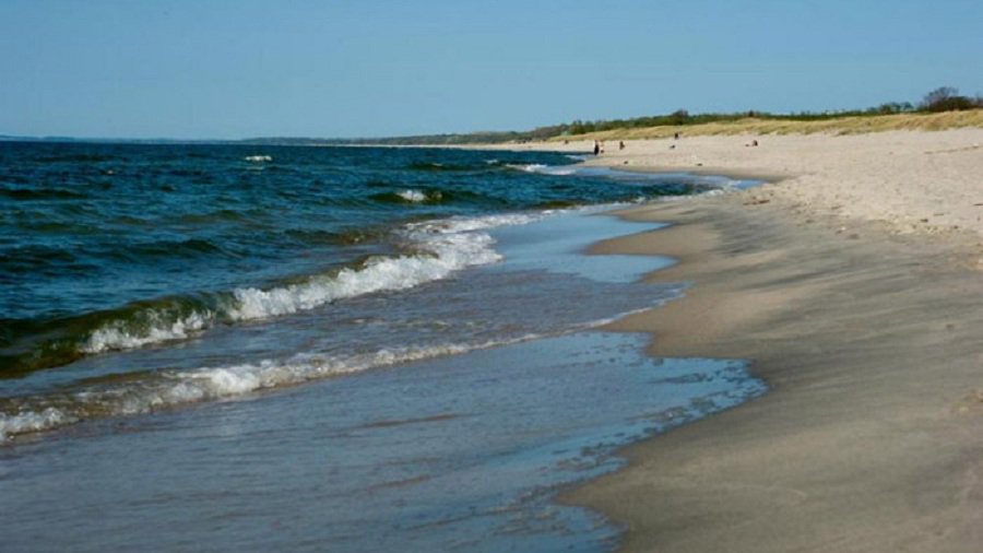 На дне Балтийского моря ученые обнаружили древний лес - Это интересно