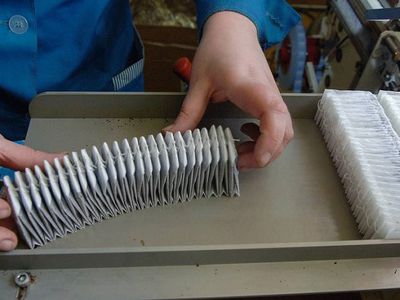 Роскачество нашло кишечную палочку в трети проверенных марок пакетированного черного чая - Наука и здоровье