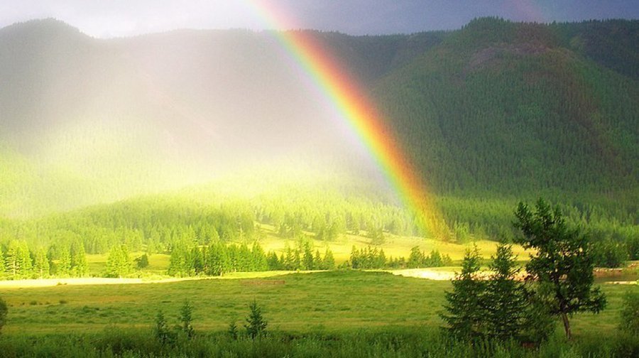 Новая версия появления жизни на Земле
 - Наука и здоровье