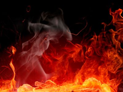 Противники России в Тбилиси по ошибке сожгли изображение словацкого флага - В Мире