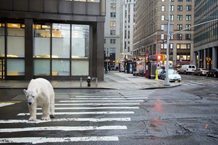 Глобальное потепление: миф или реальность?                                                                                                 - Наука и здоровье