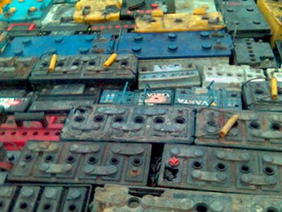 Финская таможня подозревает прибалтов в экологическом преступлении - Хобби, отдых и развлечения