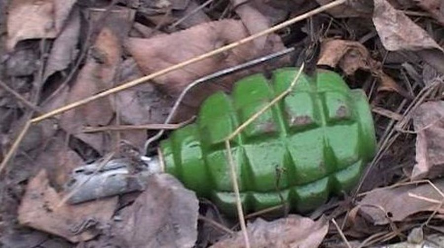 Грибник подорвался на гранате - Литва и страны Балтии