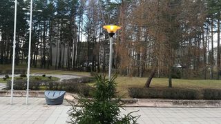 В Висагинасе будет еще одна аллея