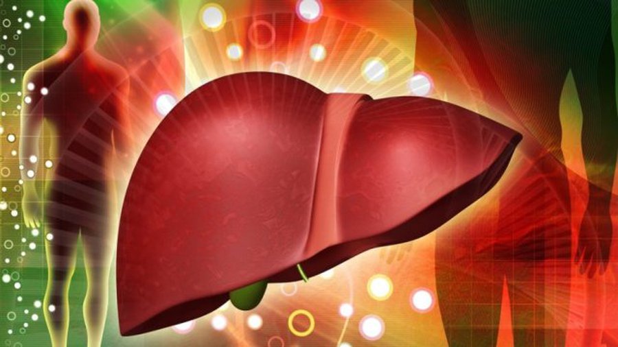 8 советов, как укрепить печень - Наука и здоровье