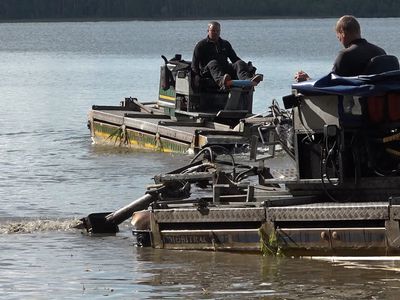 Начались работы по очистке побережья озера от зарослей (видео) - В Висагинасе