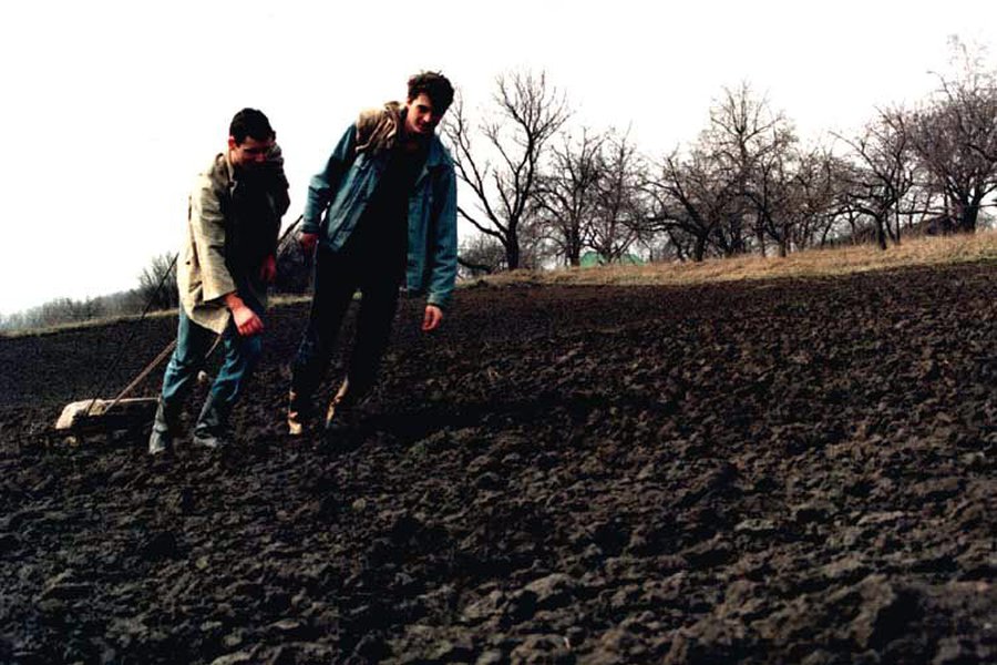 Аграрии Литвы понесли значительные убытки - Литва и страны Балтии