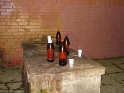 Сводка криминальных происшествий за период со 2 по 8 апреля - Происшествия и криминал