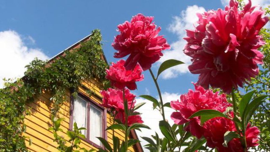 БЕЗ ЦЕНЗУРЫ: Утренняя нега - Без цензуры