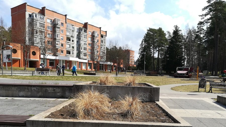 В Висагинасе появится бронзовая скульптура собаки - В Висагинасе