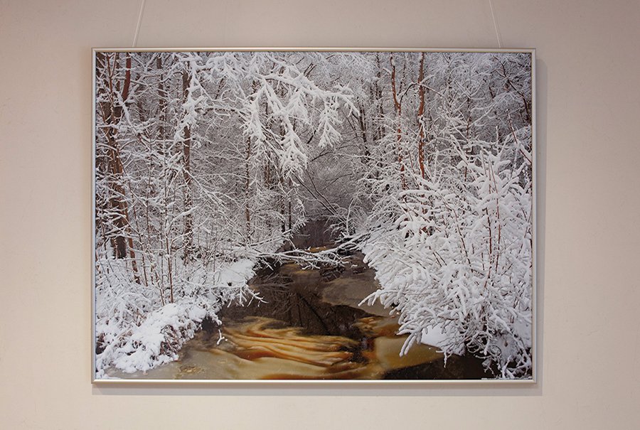 Фотографы Латвии приглашают на выставку (фотогалерея) - В Висагинасе