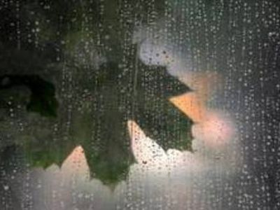   Savaitgalį bus debesuota ir drėgna                                                               - Lietuva ir Baltijos šalys