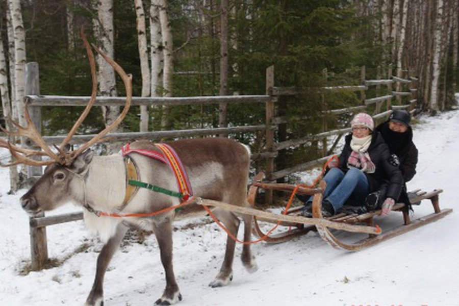 Финский город приглашает иностранцев к себе жить (дополнено)                                                                                           - В Мире