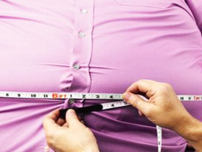 В мире каждый третий - толстяк - Наука и здоровье