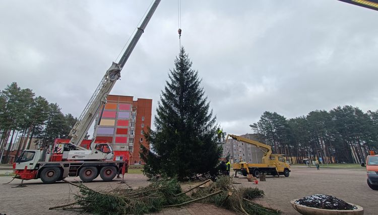 На площади Сантарвес установили необычную новогоднюю ёлку (видео)