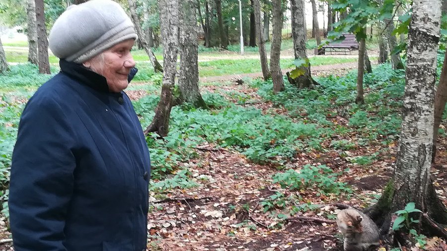 У пенсионерки, оштрафованной за кормление котов, проблемы не закончились (Видео) - В Висагинасе