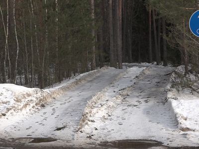Лес рубят и вывозят по велосипедно-пешеходной дорожке (видео) - В Висагинасе